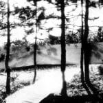 Pécsi Műhely Világoskék papírtekercs, fák között kifeszülve, 1970. november 15., ezüst zselatin nyomat, 65,5 x 100 cm, a Paksi Képtár gyűjteményéből