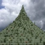 Agnes Denes The Living Pyramid