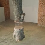 Bukta Akasztott fa (részlet)